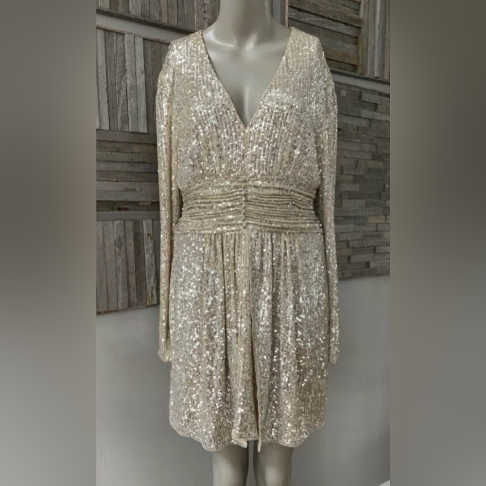 Ramy Brook: NWOT Silver Sequin Dress 👗